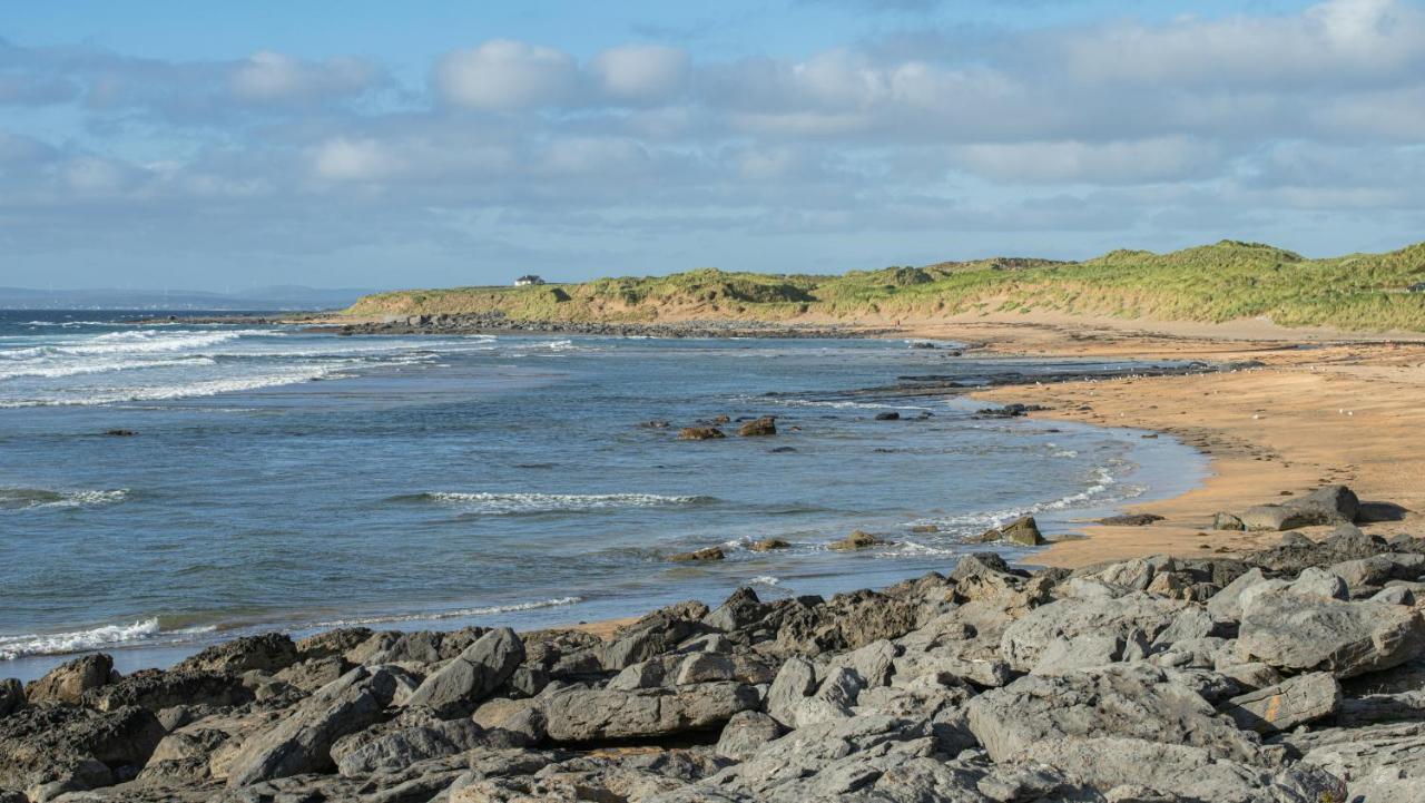 Dolphin Watch Wild Atlantic Way Villa Fanore Buitenkant foto